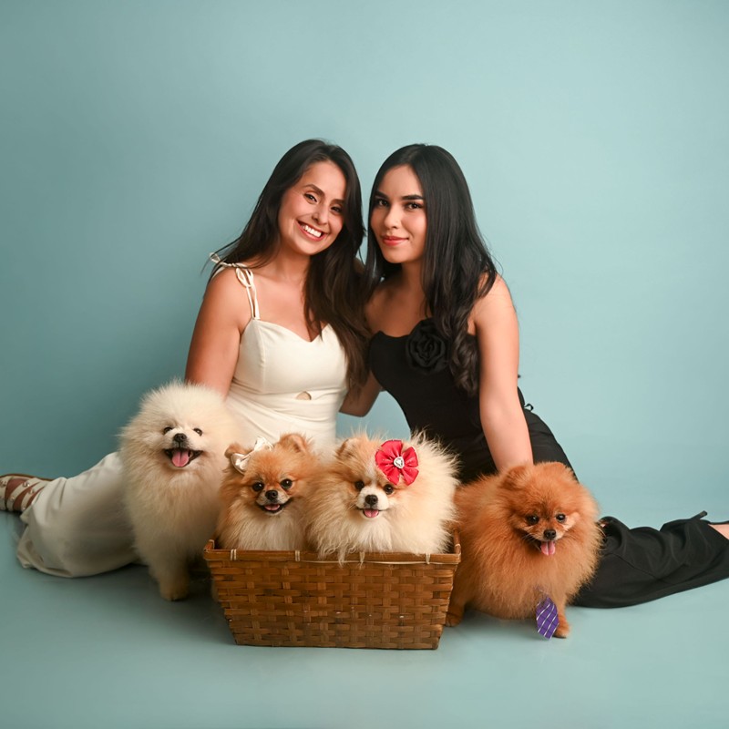 Cachorro Pomerania blanco y crema